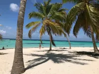 Cozy Brand New 3 Bedroom Apartment in Bavaro in Gated Community