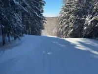 3-bedroom chalet in marvelous Ellicottville with WiFi, sauna, deck and grill 曼斯費爾德酒店