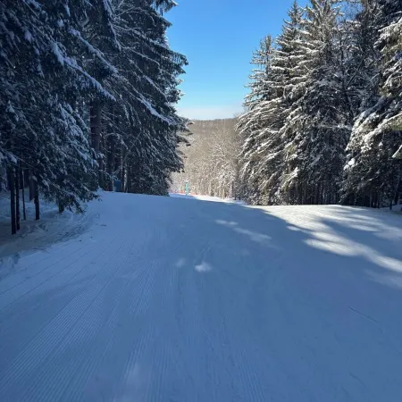 3-bedroom chalet in marvelous Ellicottville with WiFi, sauna, deck and grill