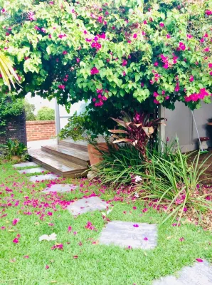 Kurra Garden -Studio (On Currarong Main Beach) - servizio colazione