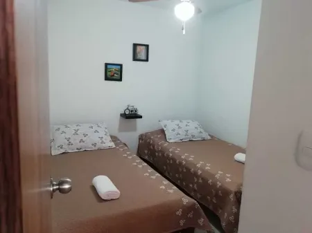 Nature and Peace. café