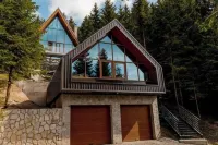 Modern 5-bedroom villa in Kopaonik with stunning mountain views Hôtels à : 