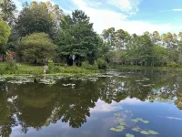 Family-friendly Pondside Hideway Near Moultrie & Thomasville
