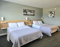 Lord Nelson Motel - Ramah Hewan Peliharaan