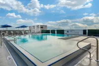 Cambria Hotel St Petersburg-Madeira Beach Marina - Pools