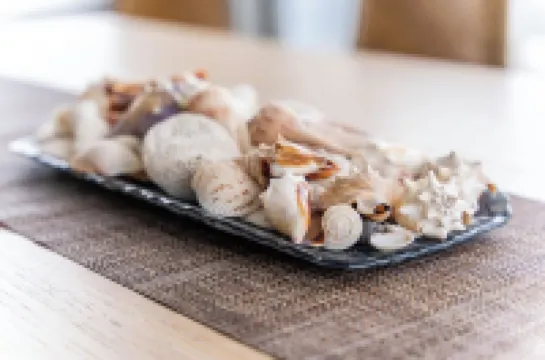 Amazing Beach Waterfront Penthouse