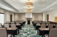 Hampton Inn and Suites by Hilton Tampa Busch Gardens Area