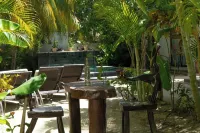 La Puerta Azul Beachfront - Adults Only فنادق في هولبوكس