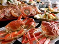 Sky Hotels near Kumihama Station