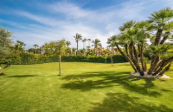 拉努西亞巴塞羅棕櫚酒店