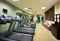 Holiday Inn & Suites CINCINNATI-EASTGATE (I-275E) by IHG - Gym