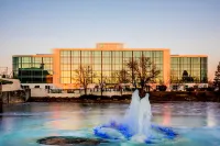 Embassy Suites by Hilton Lexington Green - bar
