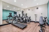 Holiday Inn Express & Suites VAN BUREN-FT SMITH AREA by IHG - Gym