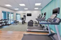 Holiday Inn Express & Suites GRAND RAPIDS AIRPORT - SOUTH by IHG - gimnasio