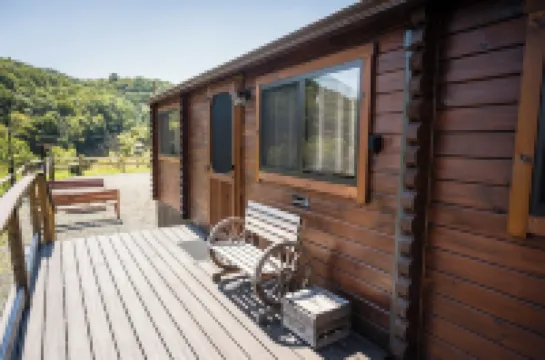 The Overlook Cabin near Grayson Highlands - Arcade & Theater