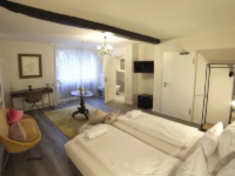 ガストハウザー ヴィラ デランゲ ランダウ・イン・デア・プファルツのホテル