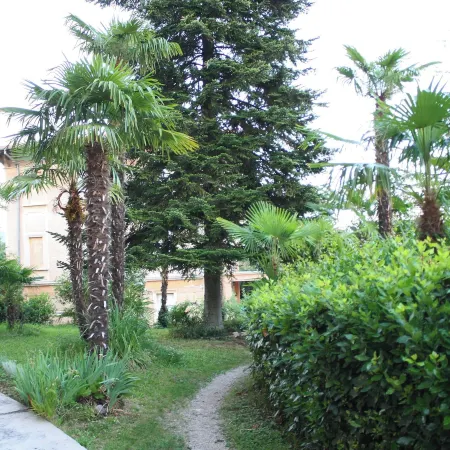 Apartments Rezine