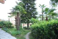Apartments Rezine