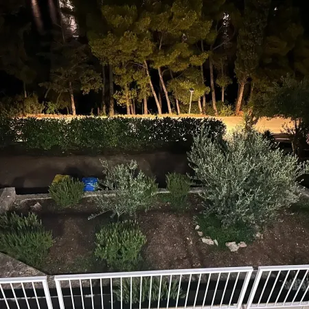 Apartment Dino