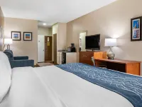 Comfort Inn Birmingham - Irondale Hotels near Ruffner Mountain