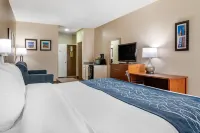 Comfort Inn Birmingham - Irondale - Aamiainen