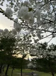Kazenosawa