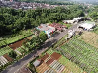 INSTAY Hotel Dieng Chill Serenity