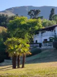 Las Ardillas Cabañas y Suites - Alloggi