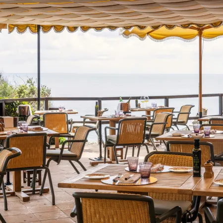 Il Pellicano