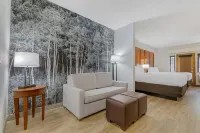 Comfort Suites Golden West on Evergreen Parkway - 2-Star
