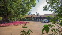 Hotel Raices Esturion - spa