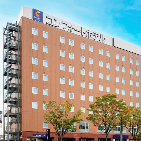 Comfort Hotel Tsubamesanjo