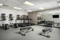 阿爾伯克爾基機場萬怡飯店 - 酒吧