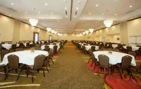 Hilton Garden Inn San Antonio/Live Oak - Wifi
