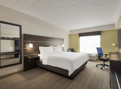 Holiday Inn Express & Suites FT Myers East- the Forum