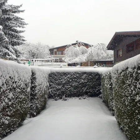 Les Chamois