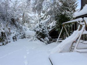 Eifelnatur (Haus 1)