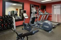 Hilton Garden Inn Terre Haute - Gym