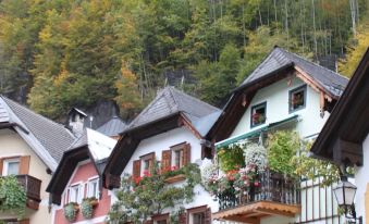 Muhlradl Apartments Gosau