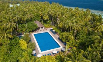 a large outdoor pool surrounded by lush green palm trees , creating a serene and tropical atmosphere at Vilamendhoo Island Resort & Spa