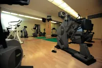 Steigenberger Icon Grandhotel Belvédère - Gym