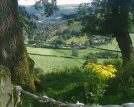 Horseshoe Pass Holiday Lets
