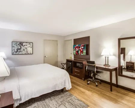 達拉斯艾迪生紅頂套房酒店 艾迪生酒店