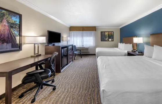 城市貝斯特韋斯特酒店