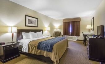 Comfort Inn & Suites Edson