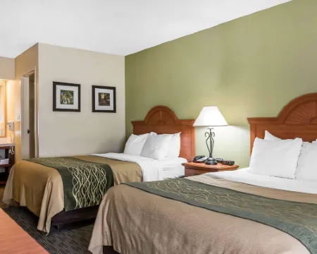 Comfort Inn Pine Grove I-81 Hershey Area Hoteles en Municipio de Pine Grove