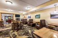 Econo Lodge Mayo Clinic Area - gimnasio