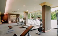 The Papandayan - Gym