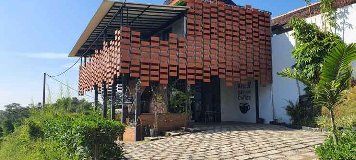 Tulip Guest House & Cafe Hotels in Junrejo