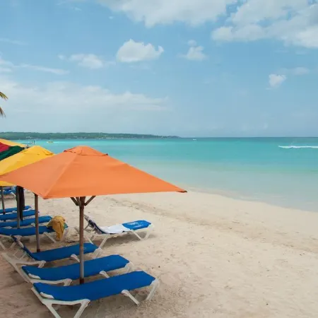 Negril Palms